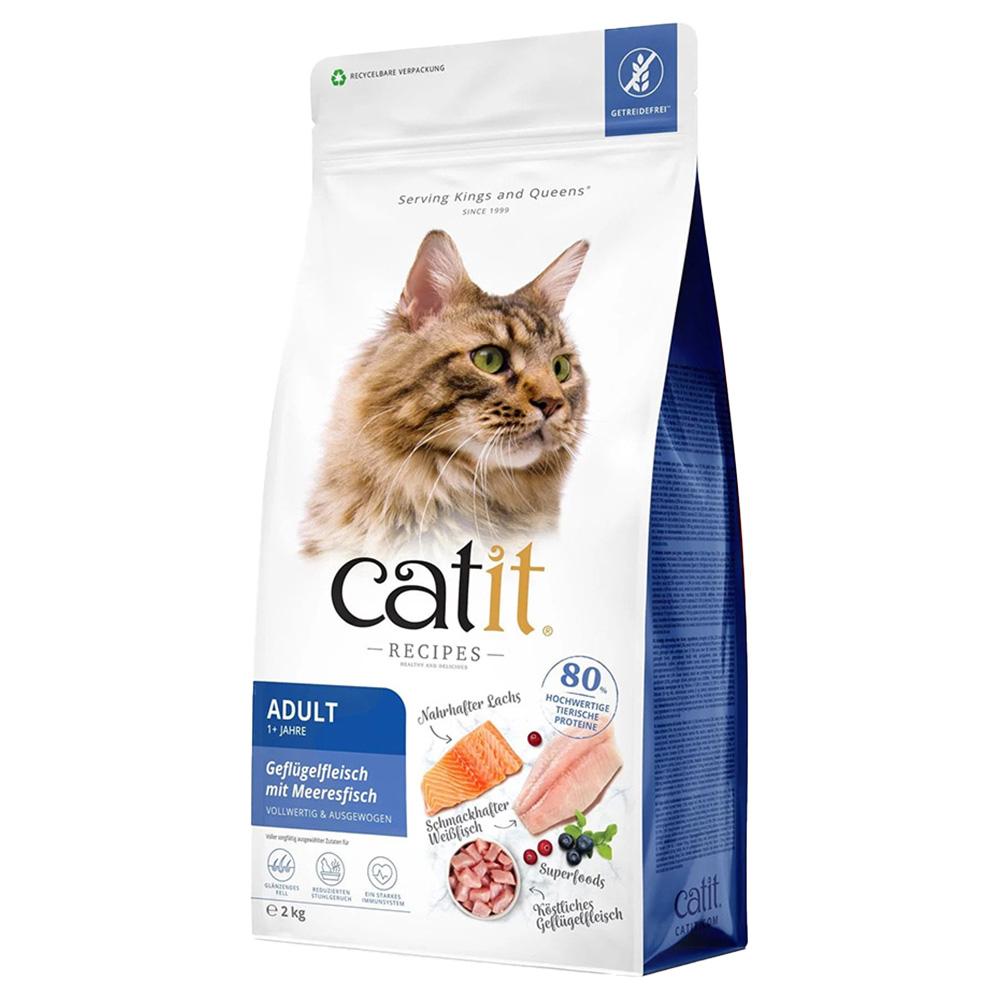 2g Catit Recipes Adult Vis droogvoer voor katten
